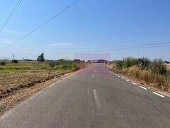 Teren Domnesti- Fortului