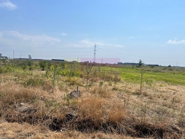 Teren Domnesti- Fortului.