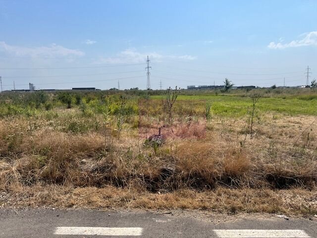 Teren Domnesti- Fortului.