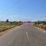 Teren Domnesti- Fortului